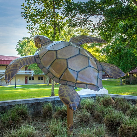 Turtle statue at NFC Campus